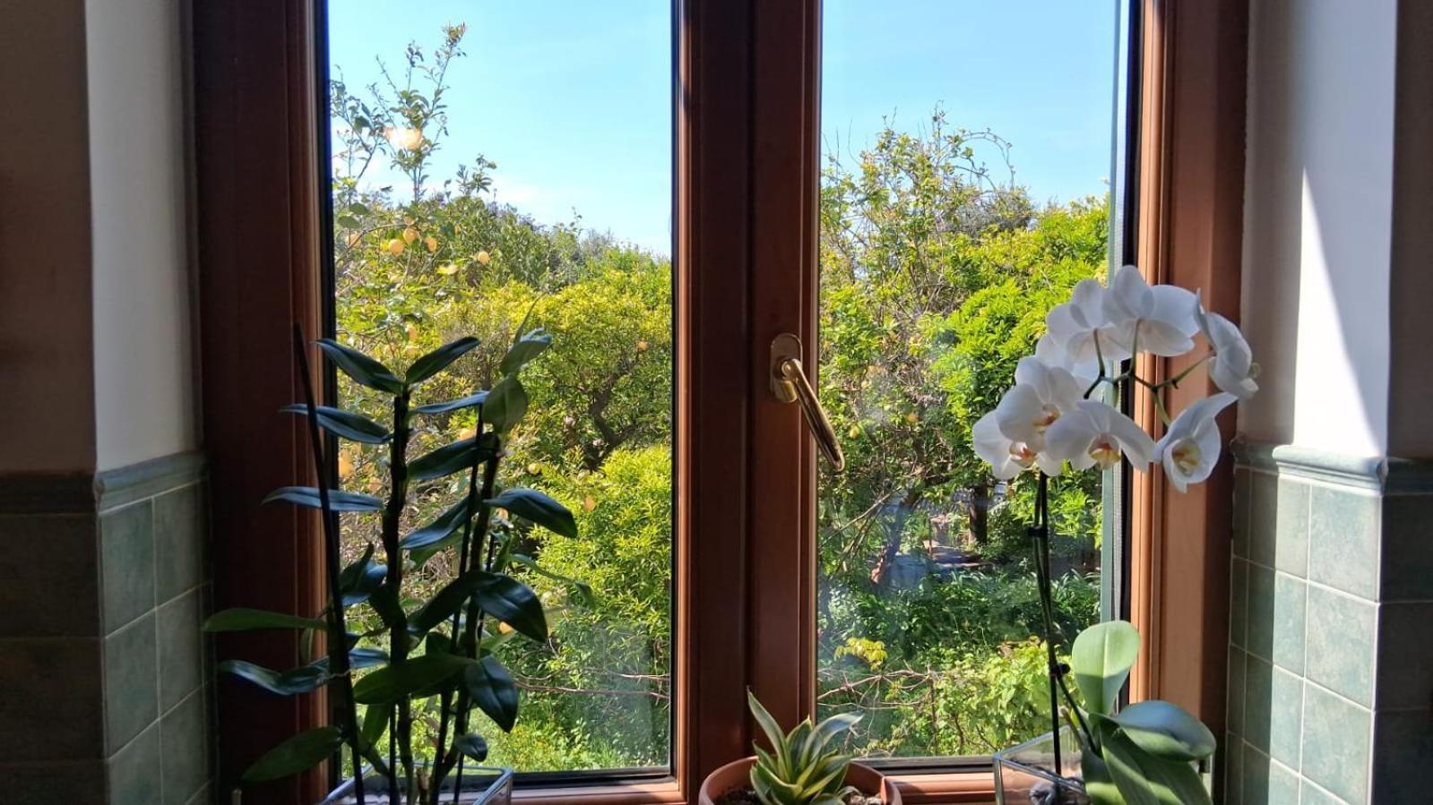 Apartmán Il Giardino Dei Gigli Meta Exteriér fotografie