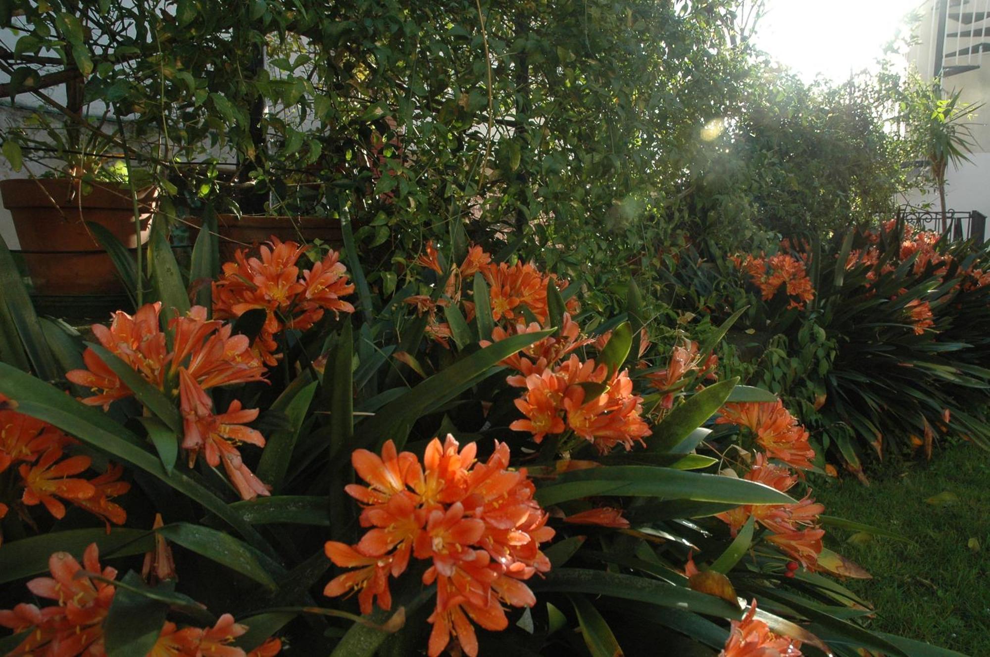 Apartmán Il Giardino Dei Gigli Meta Exteriér fotografie