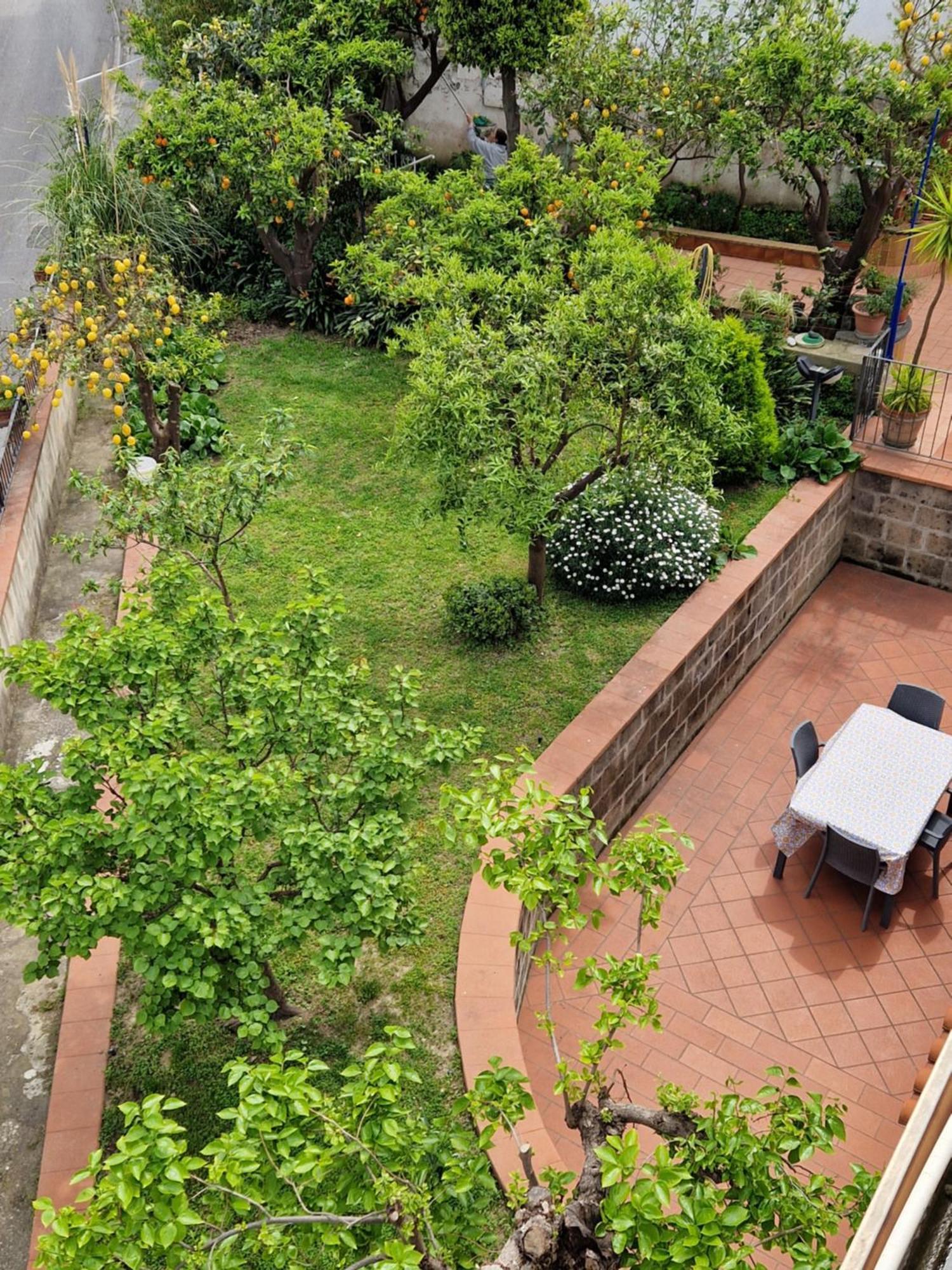 Apartmán Il Giardino Dei Gigli Meta Exteriér fotografie
