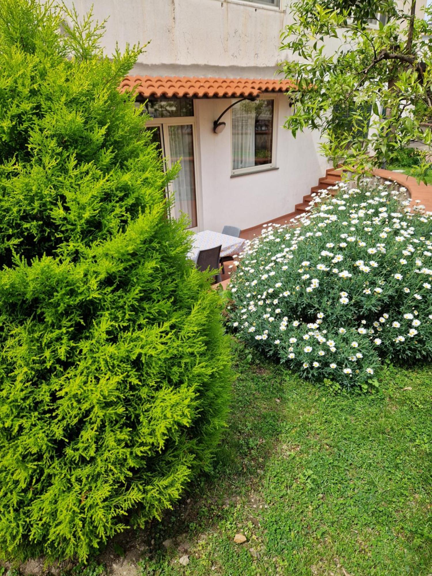 Apartmán Il Giardino Dei Gigli Meta Exteriér fotografie